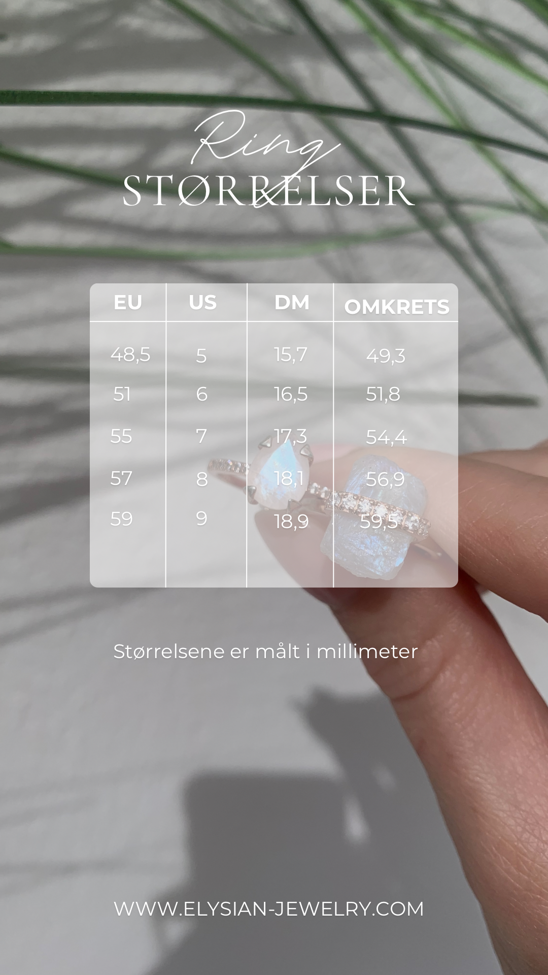 Celestial moonstone ring